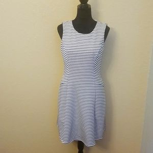 White House Black Market Black & White Striped Fit & Flare Dress